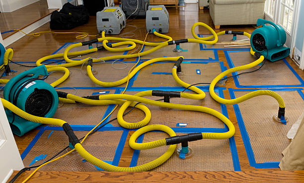 Professional Water Extraction technician working in Westlake Village, CA